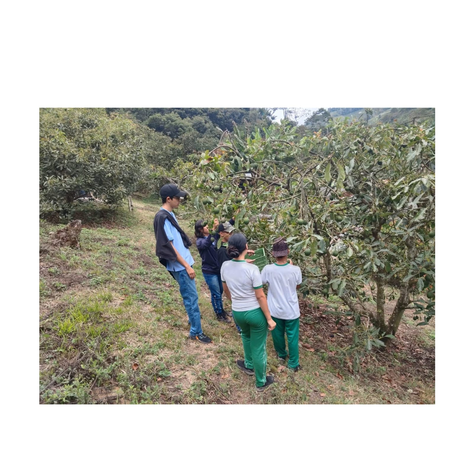 Imagen de WhatsApp 2025-10-11 a las 16.28.47_1df0c7c6