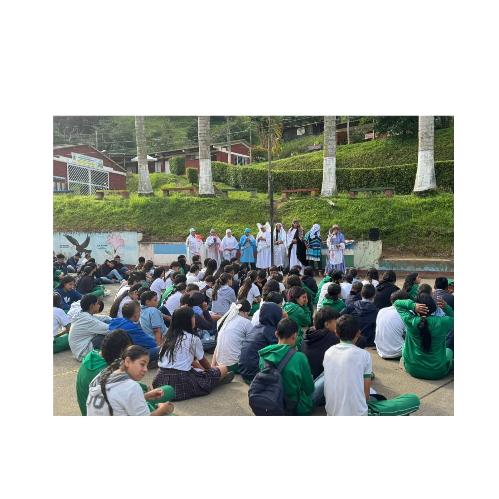 WhatsApp Image 2026-01-11 at 12.50.31 PM