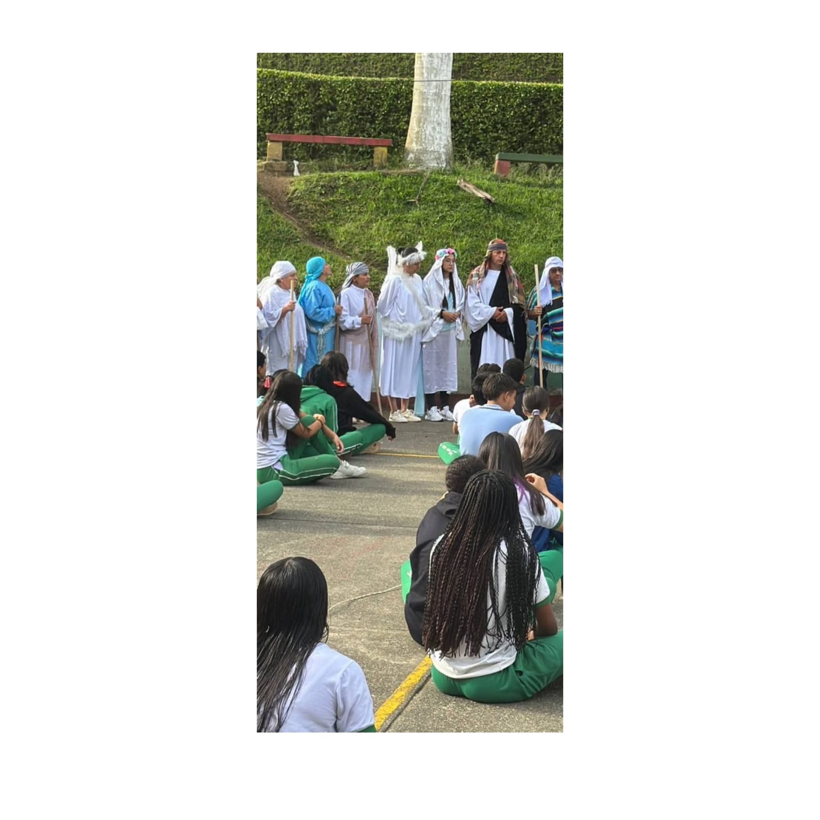 WhatsApp Image 2026-01-11 at 12.53.46 PM