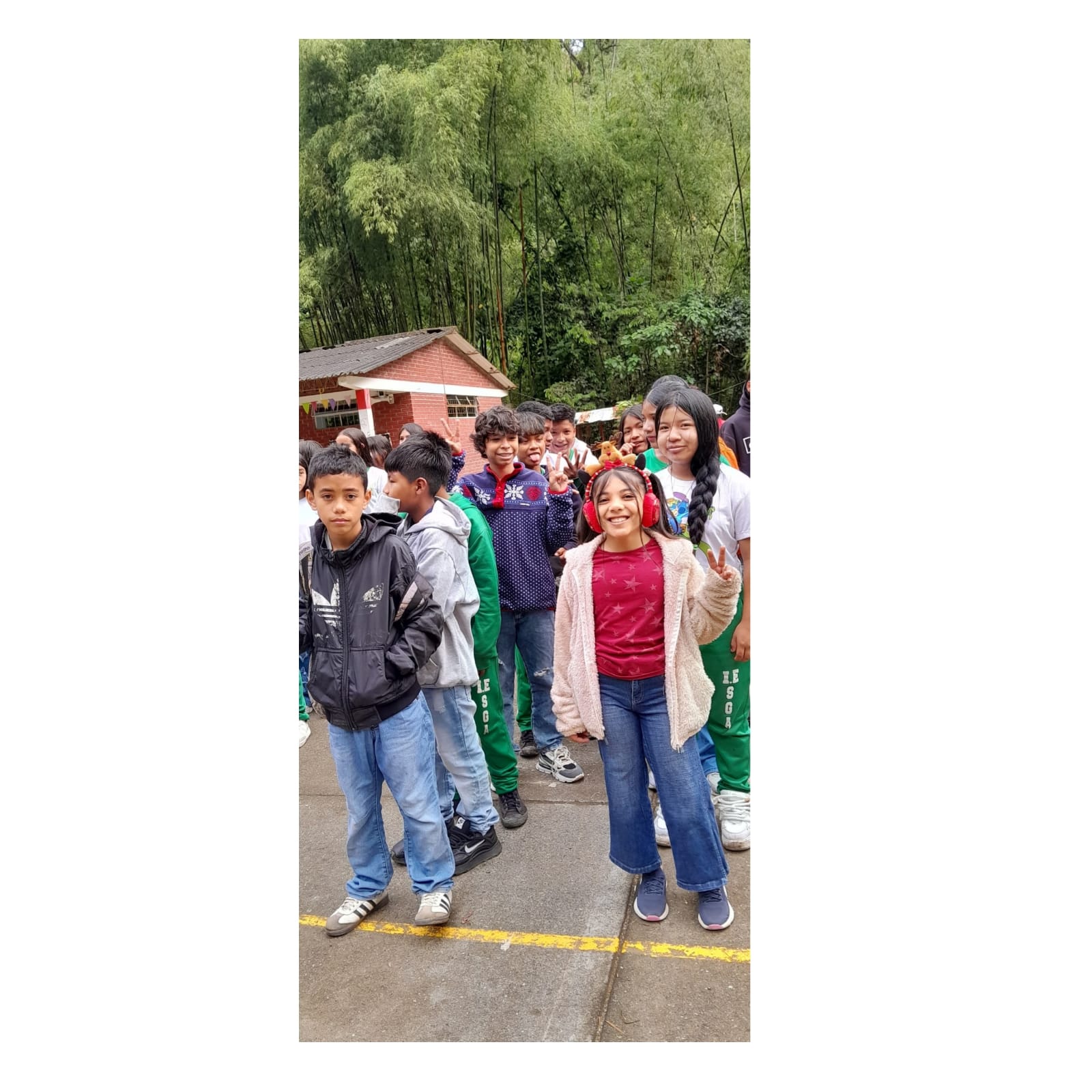 WhatsApp Image 2026-01-11 at 3.22.28 PM