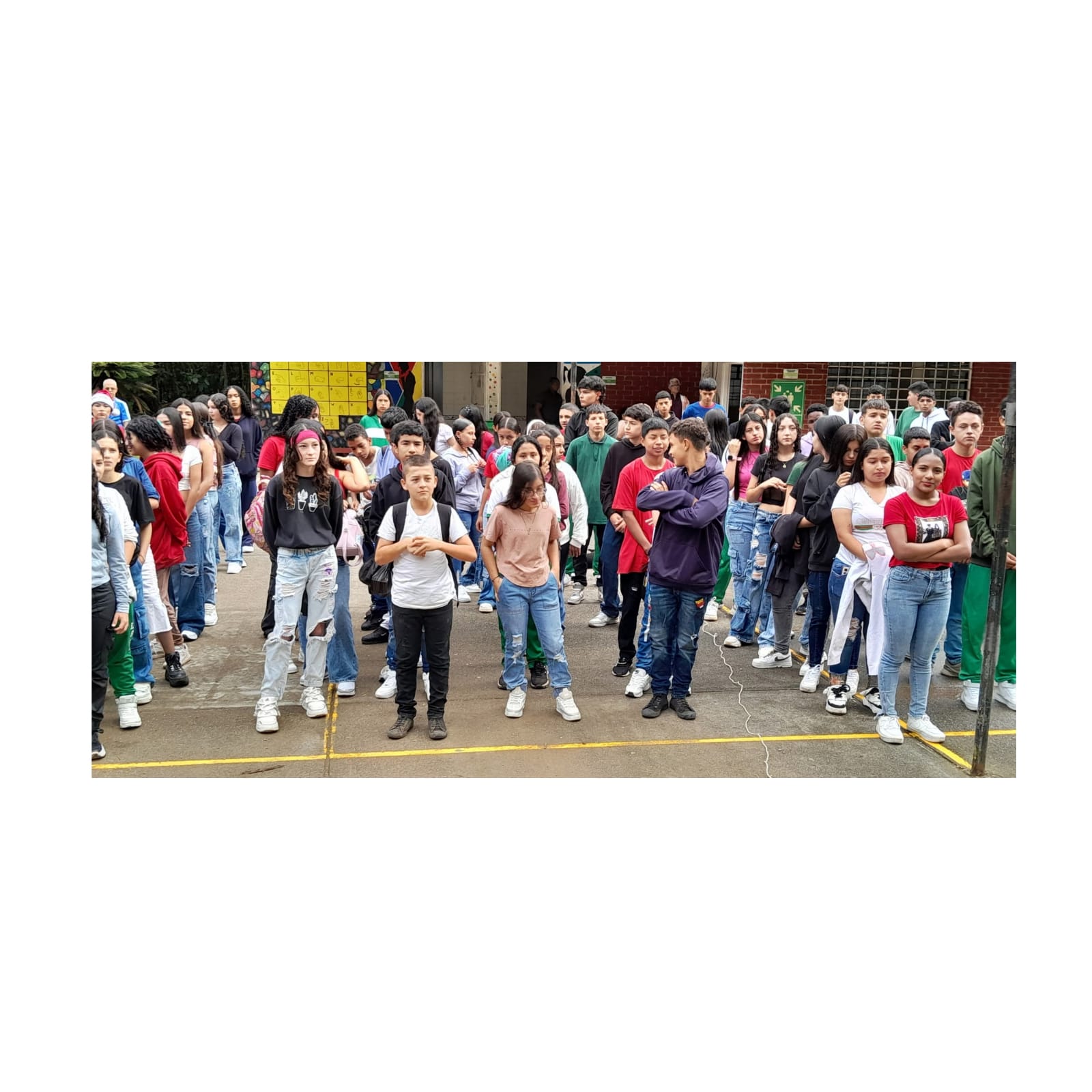 WhatsApp Image 2026-01-11 at 3.24.52 PM