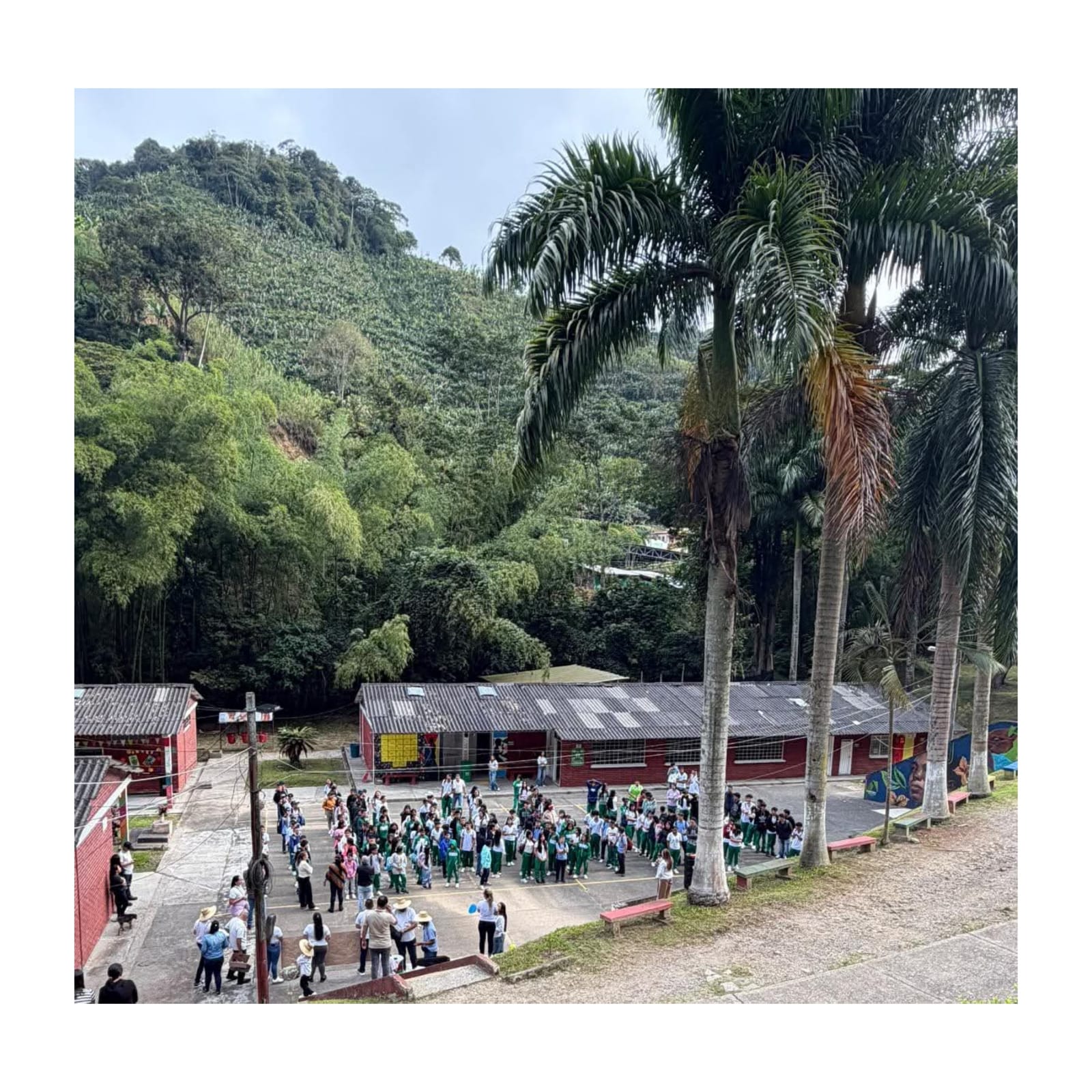 WhatsApp Image 2026-02-09 at 4.49.47 PM