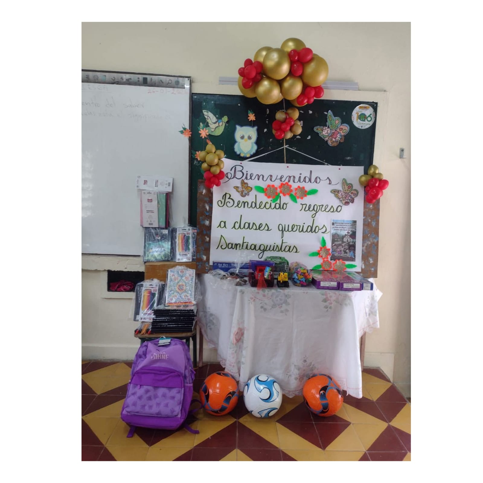 WhatsApp Image 2026-02-11 at 6.35.35 PM